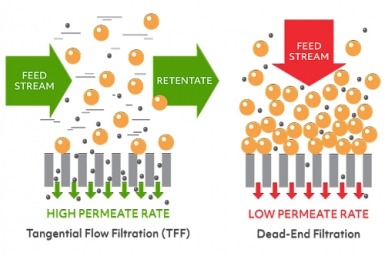 Why Use Tangential Flow Filtration (TFF)?