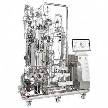 S-Series Fully customizable fermentor & bioreactor skids