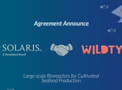 graphic of agreement announcement between Wildtype and Solaris