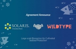 graphic of agreement announcement between Wildtype and Solaris