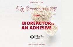 Solaris Bioreactor to Adhesive graphic